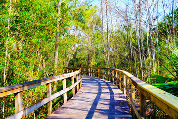 Fototapeta premium Wesley Chaple, Florida, USA, 12 10 2024: The winter foliage landscape of a beautiful community and trail at Wesley Chapel, north of Tampa in Florida