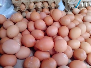 Abundance of Fresh Chicken Eggs in Bulk for Culinary and Commercial Use