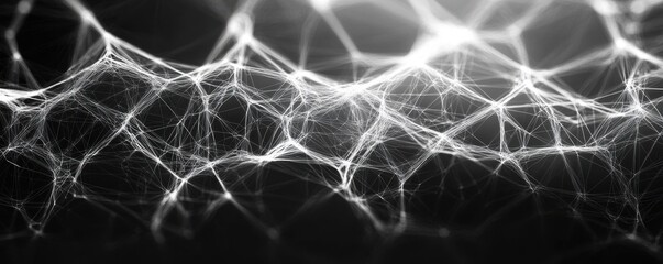 Futuristic abstract background showcasing a low-poly black and white wireframe network. The intricate web of interconnected lines creates a complex pattern on a dark gray gradient backdrop.