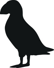Arctic bird puffin black-and-white vector illustration