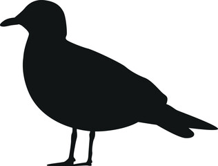 Sanderling arctic bird vector illustration