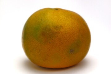 Close-up Shot of a Vibrant and Fresh Mandarin Orange Against a White Background