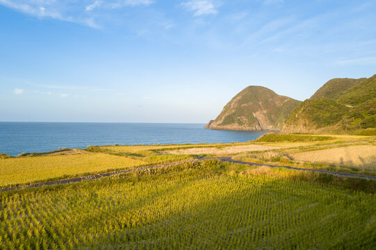 The coast with rice fields and mountains