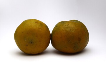 Two Fresh Oranges Isolated on White Background, Close Up Shot
