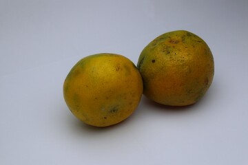Two Fresh and Ripe Oranges on a White Background Ready to Eat 