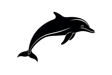 dolphin vector illustration