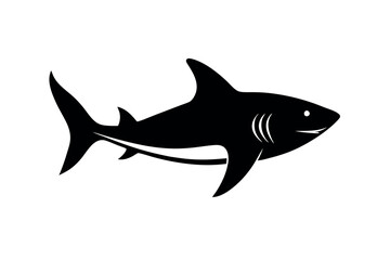 shark vector illustration
