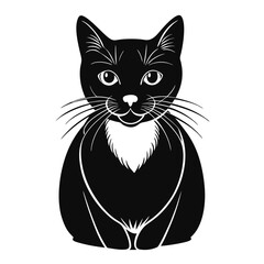 black cat vector illustration