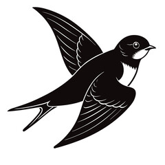 Fototapeta premium vector illustration of a bird