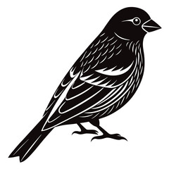 vector illustration of a bird