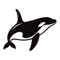 dolphin isolated on white background vector illustration