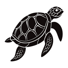 vector illustration of turtle