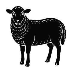 vector illustration of a sheep