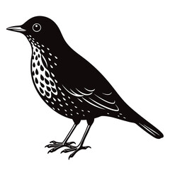 vector illustration of a bird