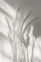 Three stalks of wheat in vase