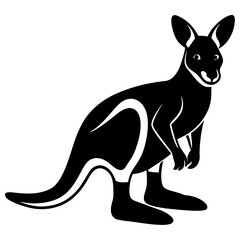 kangaroo vector illustration