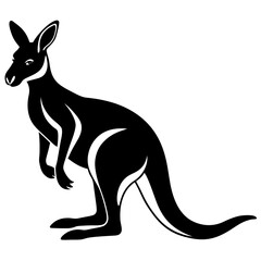 kangaroo vector illustration