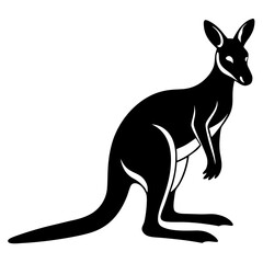 kangaroo vector illustration