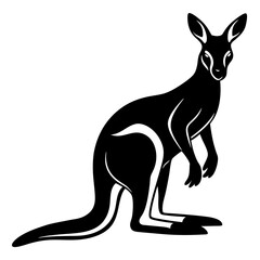 kangaroo vector illustration