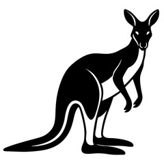 kangaroo vector illustration