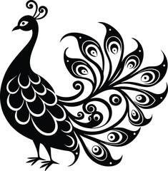 Fototapeta premium peacock feather vector illustration