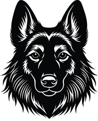 wolf head vector illustration