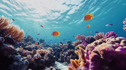Obraz premium Vibrant Coral Reef Ecosystem With Colorful Fish Swimming