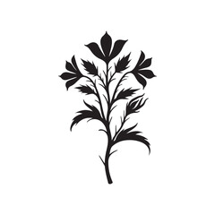 Black and white illustration, morning glory flower, bold graphic style, silhouette design