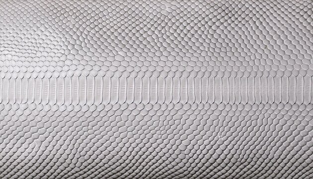 white snake skin texture with natural pattern python leather surface background