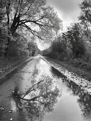 Wet Road