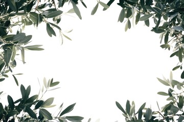 Obraz premium Leaf Frame