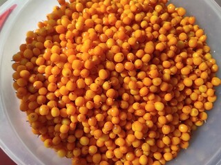 Golden Harvest: A Bowl of Bright Sea Buckthorn Berries