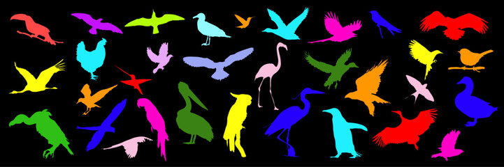 Naklejka premium Set of vector colored silhouettes of birds on black background, various bird silhouettes, illustration of flying, sitting birds, suitable for nature, wildlife design