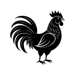 rooster vector illustration