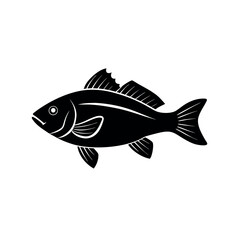 vector illustration of a fish