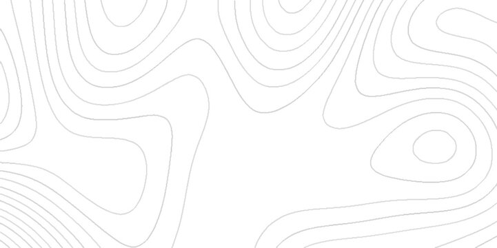 Topography and geography map grid abstract geometric lines background, Topographic contour map with geographic concept, topography topology vector black and white abstract background.