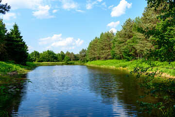 The Treve pond in Dampierre-en-Burly in Europe, France, Centre Val de Loire, Loiret, Dampierre en Burly, in summer, on a sunny day.