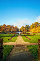 Park in autumn, portrait photo