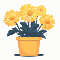 Illustration vector of FLORIST’S CHRYSANTHEMUM Pot