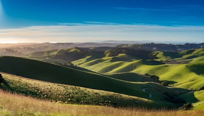 Naklejka premium the beautiful hills of the north bay california