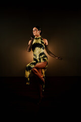 Dancing silhouette of a sexy latina woman in a dimly lit space showcasing bachata and samba moves