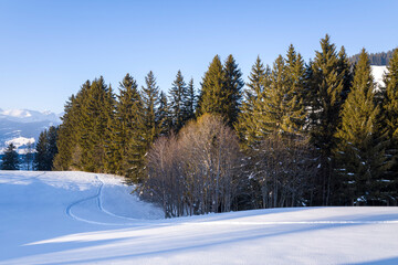 The hiking trail in the Morvan forest in Europe, France, Burgundy Franche Comte, Saone et Loire,...