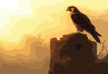 Eagle siting on a rock during sunset