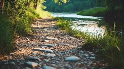 Fototapeta premium Serene Gravel Trail Along Riverbank Surrounded by Lush Greenery