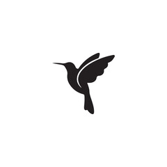 hummingbird vector illustration