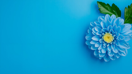 A blue flower with green leaves on a blue background