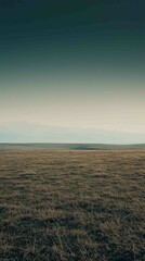 Stark Desolate Grassy Plain Under an Endless Sky