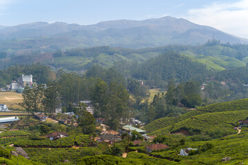 Fototapeta premium The village and tea plantations in Munnar in Asia, India, Kerala, Munnar, in summer, on a sunny day.
