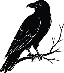 Black Raven on a tree branch silhouette