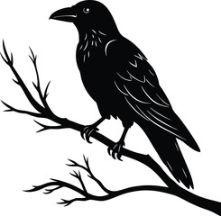 Black Raven on a tree branch silhouette